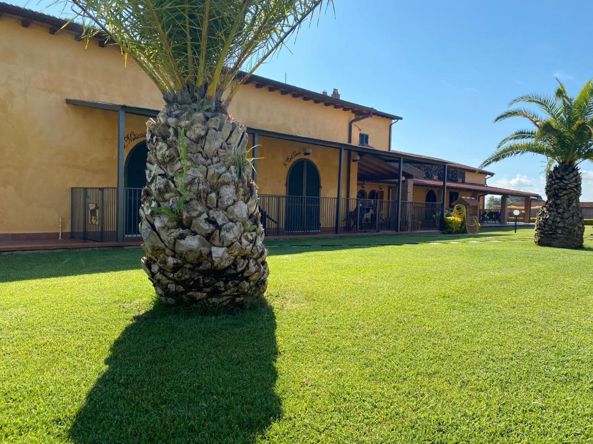 Borgo Bernabei Country house Buriano (Grosseto)