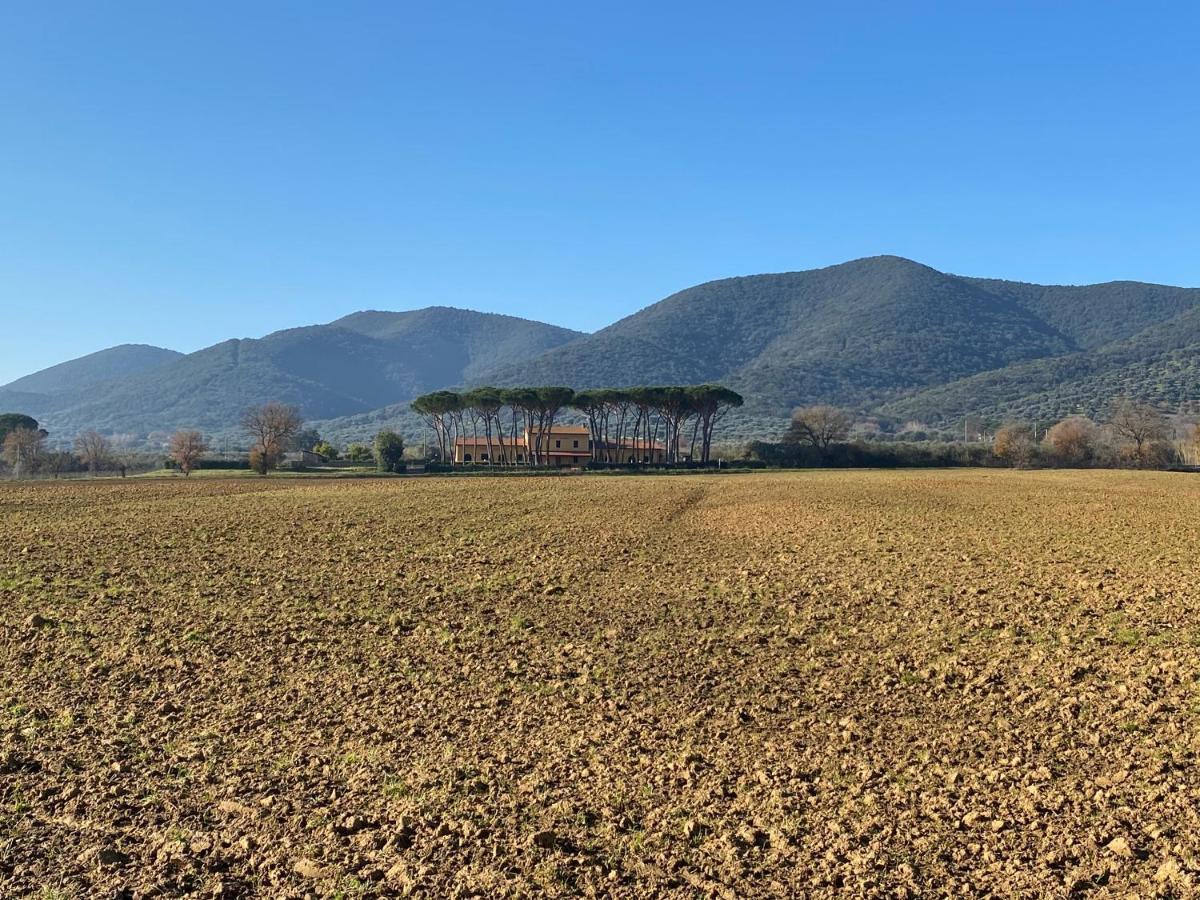 Country house Borgo Bernabei *
